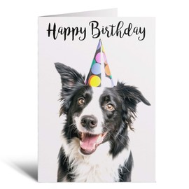 Postcard Prints - Birthday Card For Him or Her Fun Birthday Card of A Collie Dog Happy Birthday Card For Mum, Dad, Sister Brother