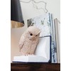 moses. B-Uhu-ch Bookend Decorative Object for Bookcase, 3D Owl as
