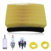 Adefol BP42 Air Filter for Ryobi RY08420 RY08420A with Fuel