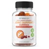Terraform Nutrition Extra Strength Joint Support Gummies with Glucosamine &