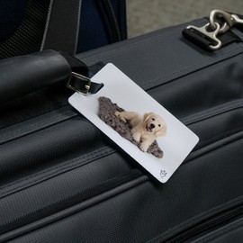 Golden Retriever Puppy Dog Blanket Luggage ID Tags Cards Set of 2