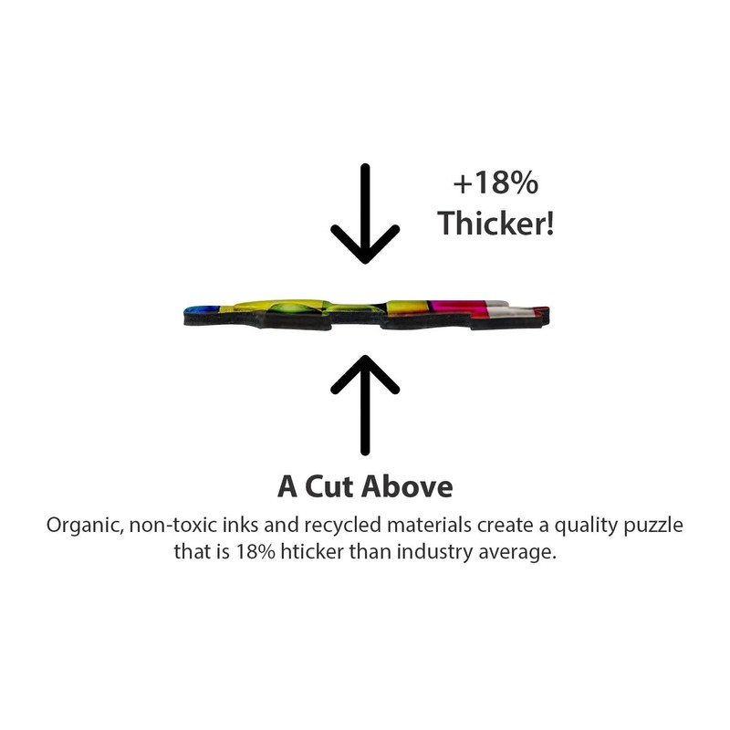 Springbok's 1000 Piece Jigsaw Puzzle Take Flight - Made in