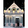 C9 Christmas Lights Outdoor 25FT - Commercial Grade LED String