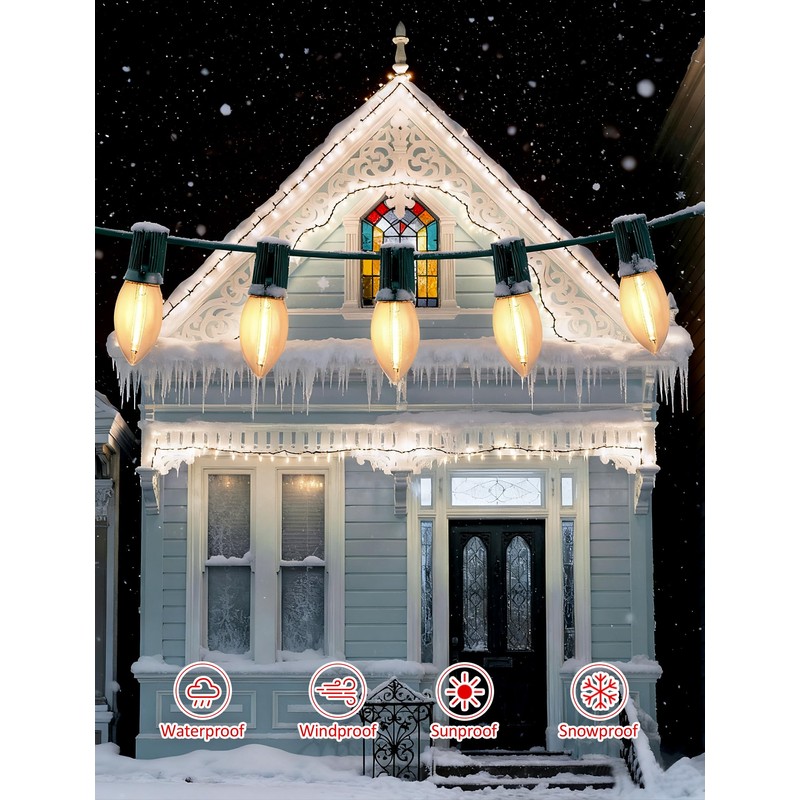 C9 Christmas Lights Outdoor 25FT - Commercial Grade LED String