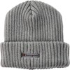 Champion 492-1079 Box Logo Knit Cap, Made in Japan, gray