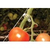 Palram - Canopia Trellising Kit Pro for Canopia Greenhouses