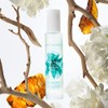 MOROCCANOIL Moroccanoil