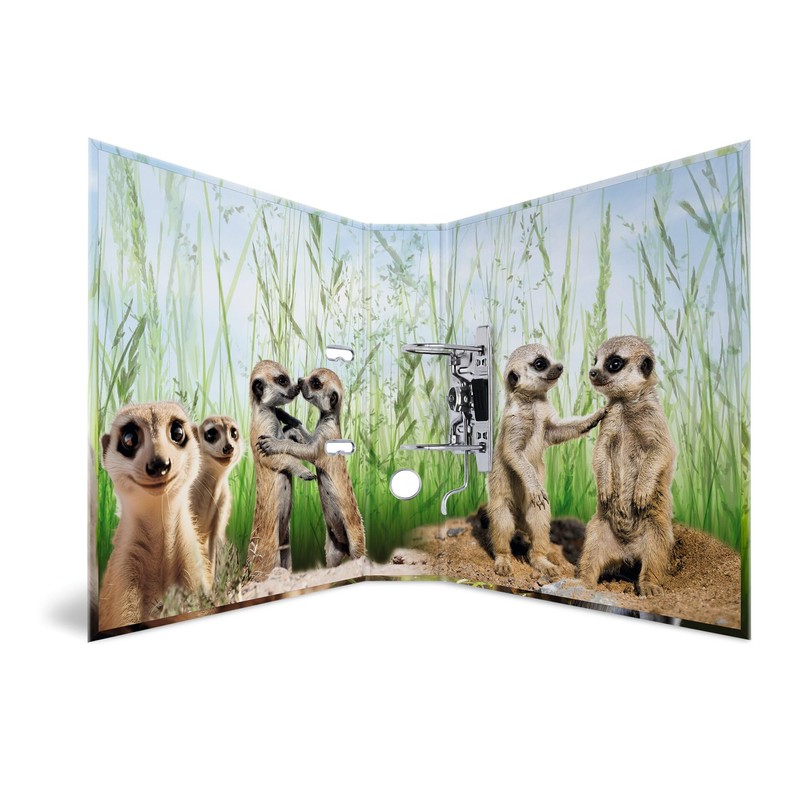 HERMA A4 Meerkat Folder, 7 cm Wide, Children's Ring Binder