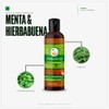 VIDA SCENTS AROMATHERAPY - Aceite Para Masaje Menta y Hiebabuena
