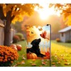 Fall Black Lab Dog Garden Flags for Outside 12x18 Double