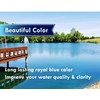 Blue Lake and Pond Dye (4 Gallon Value Pack)
