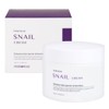Food Aholic Intensive Snail Cream 100ml / Moisturizing Cream, Barrier