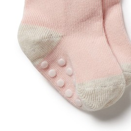 Wilson & Frenchy Organic 3 Pack Baby Socks - Cantaloupe, 6 - 12 Months