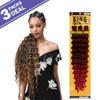 MULTI PACK DEALS! Bobbi Boss Synthetic Hair Braids Pre-Feathered 3X