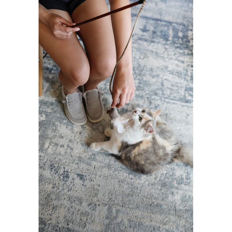 OurPet's Play-N-Squeak Teathered & Feathered Play Wand Cat Toy, for