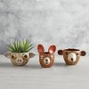 47th & Main Textured Shaped Ceramic Planter, Large, Bear Face