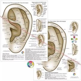 Spanish Auricular Ear Acupuncture Chart 8.5" X 11" Auriculotherapy