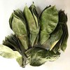 Wild Soursop Leaves – 100% Natural | Sun-Dried Herbal Tea