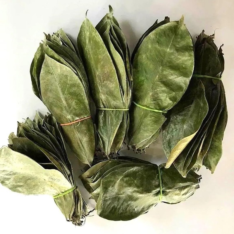 Wild Soursop Leaves – 100% Natural | Sun-Dried Herbal Tea
