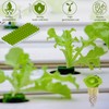Legigo Legigo 1 Inch Rockwool Cubes Seed Starter Grow Cubes
