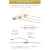 ASHIFA Cremation Urn Pendant, Star, Hand Supplement, Coccyx Set, Hypoallergenic,