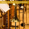 EASTROCK Trombone Stand, Retractable Height Adjustment, Triangular Stable Construction for