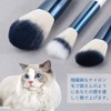 SHELWIN Makeup Brushes Set, 10 Pieces, Makeup Brushes, Powder Brushes,