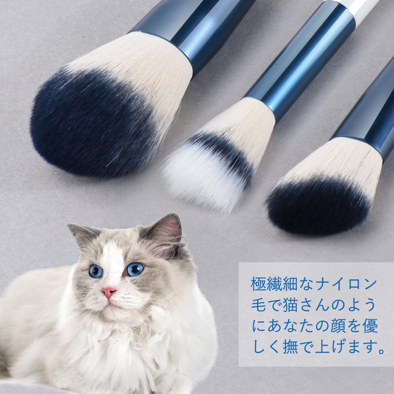 SHELWIN Makeup Brushes Set, 10 Pieces, Makeup Brushes, Powder Brushes,