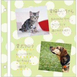 SEKISEI アルバム フリー ハーパーハウス カジュアルアルバム ドット ライトフリー台紙 20ページ 11~20ページ グリーン XP-4310XP-4310-30