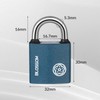 RosewineC Heavy Duty Padlock, Iron Padlock with 3 Keys, Heavy