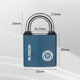 RosewineC Heavy Duty Padlock, Iron Padlock with 3 Keys, Heavy Duty Padlock Outdoor Weatherproof, Security Padlock for Shed, Warehouse, Fence, Office (32 MM)