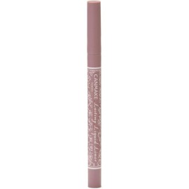  Canmake Lasting Liquid Liner Cream 05 Greige 1 piece (x 1) 06 Rose Greige