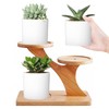 AKONE Cactus Planter Succulent Pot Bamboo Tray