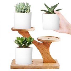 AKONE Cactus Planter Succulent Pot Bamboo Tray