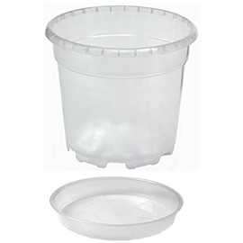 Floralo Plastic Orchid Pot Transparent with Saucer and Drainage Holes (Diameter 13.9 cm, Height 12.4 cm, 1.3 Litres)