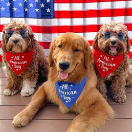 All American Boy Dog Bandana | 100% Adjustable Cotton Triangle | Made in USA | July Fourth (4th) Accessory | Patriotic | Party | Parade | Event | Costume |Royal, One Size 253
