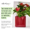 Lechuza Cube - Glossy, High-Quality Plant Cube with Stick Irrigation