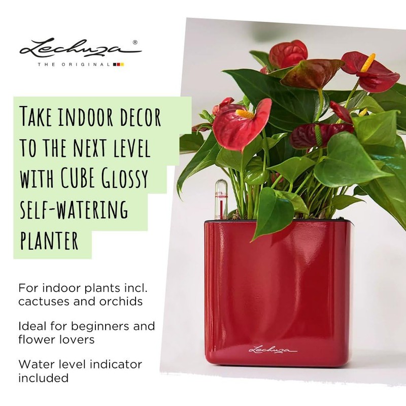 Lechuza Cube - Glossy, High-Quality Plant Cube with Stick Irrigation