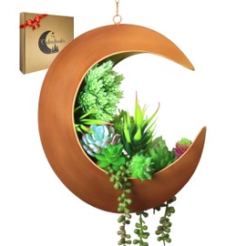 Hanging Crescent Moon Planter - Moon Room Decor - Unique Planters for Succulents, Air Plants, Cactus, Artificial Plants- Plant Lover Gifts - Boho, Hippie, Birthdays, Witchy Gifts for Women (Gold)