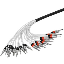 Seismic Audio - SAST-12-24-10 - 12 Channel 1/4" TRS Insert Snake Cable to 24 1/4" TS - 10 Feet