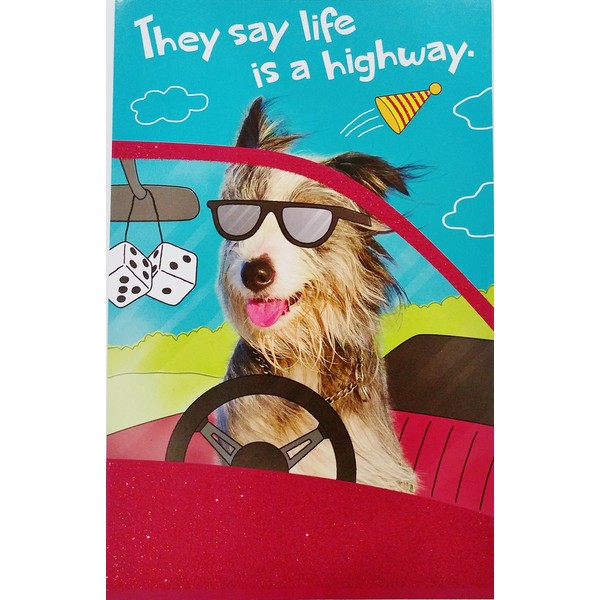 They Say Life is a Highway ... "at least you haven't reached the point where you start driving like an old person yet!" Funny Getting Older Happy Birthday Greeting Card w/ Dog
