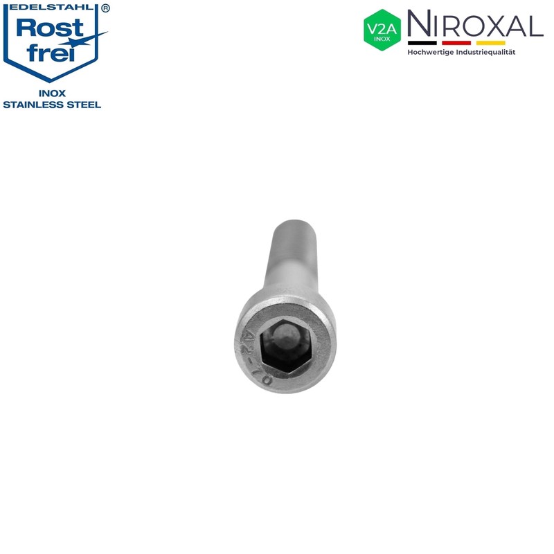 Stainless Steel Cylinder Head Screw Rustproof V2A M5 (=5 mm)