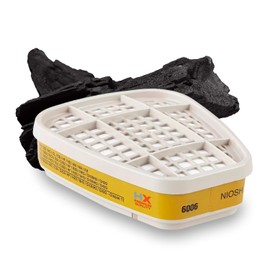 HARDIWORX 6006 Respirator Cartridges - Premium Multi-Gas/Vapor Filters for Superior Respiratory Protection, 1 Pair