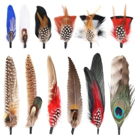 12Pcs Hat Feathers Assorted Natural Feathers for Hats Colorful Real Feathers Pin DIY Craft Men Women Cowboy Hats FedoraColor: 12PC 03, Feather Size (L x W): 2-3 In/6-8In