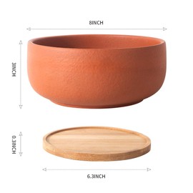 SQOWL Terracotta Planter Pot for Succulent 8 Inch Pottery Pot Round Planter Cactus Clay Flower Pot with Drain Hole and Bamboo Tray Indoor Outdoor