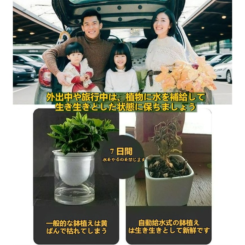 Watering Time Automatic Watering Cotton Rope, Hydroponic Cultivation, Planter, Vacation,