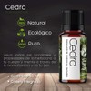 VIDA SCENTS OLEOS Aceite Esencial de Cedro 10 ML 100%
