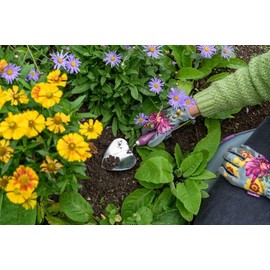 Burgon & Ball RHS Gift Planting Trowel and Dibber Asteraceae