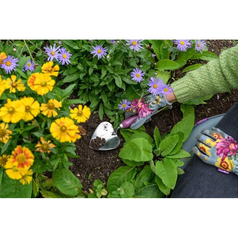 Burgon & Ball RHS Gift Planting Trowel and Dibber Asteraceae