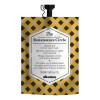 Mascarilla Capilar Davines The Renaissance Circle, Tratamien